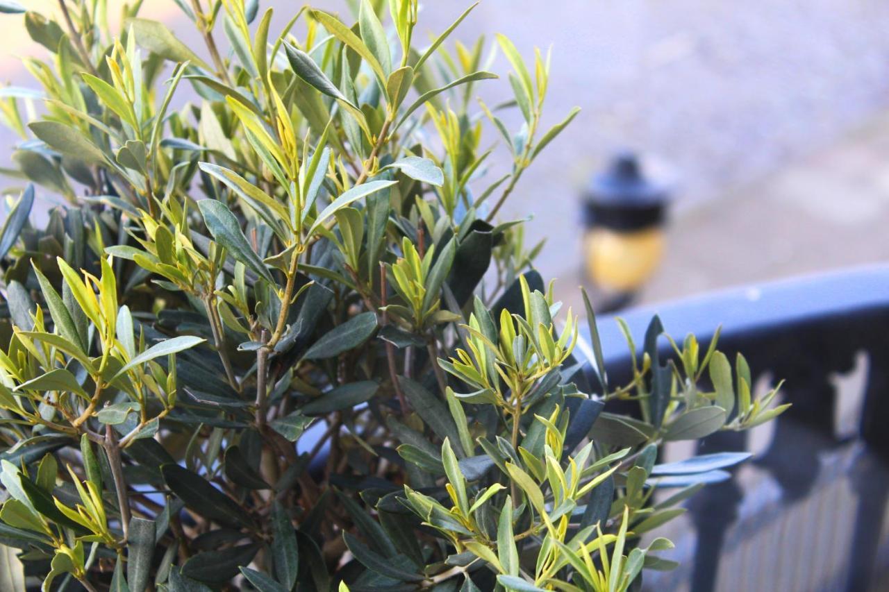 מלון אדינבורו 24 Royal Terrace מראה חיצוני תמונה